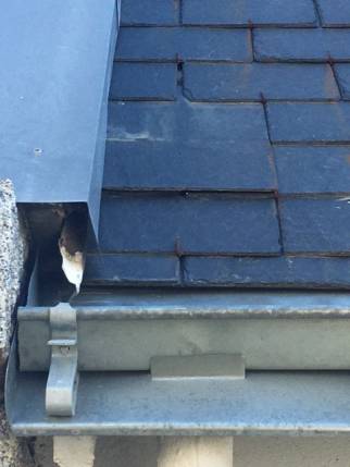 Rénovation de toiture - ancienne toiture en ardoise naturelle abîmée avant travaux - Nantes 44