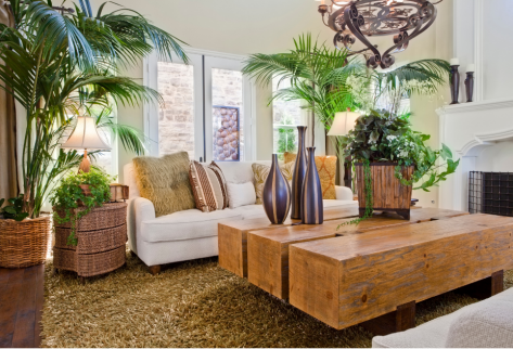 Salon avec plantes Poissy