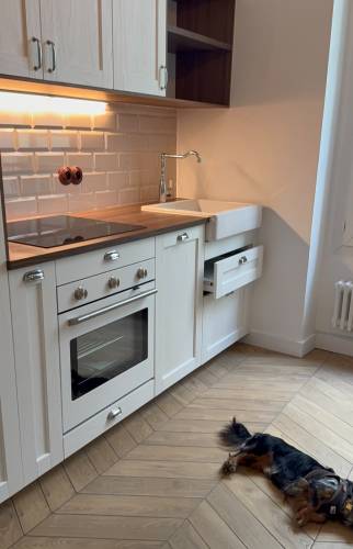 rénovation cuisine ouverte à paris 17