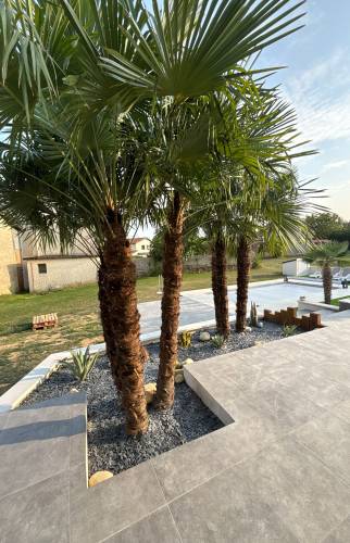 Création de terrasse en béton à Vienne