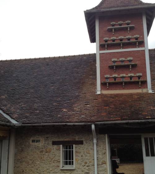 Rénovation toiture