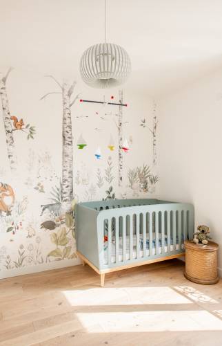 Berceau vert pastel dans une chambre nature pour bébé à Le Pecq.