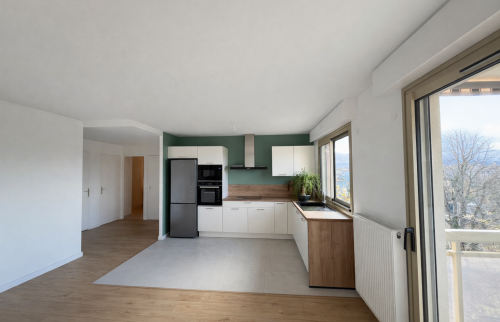 Ouverture de cuisine sur salon Tassin-La-Demi-Lune 69160