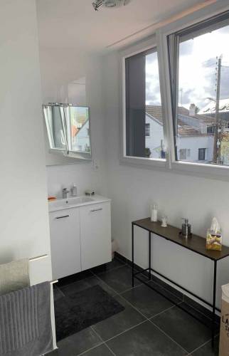 Création d'une lucarne en zinc à Vertou - salle de bains