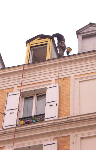 Rénovation des chiens assis par un cordiste