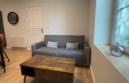 Rénovation appartement - Salon