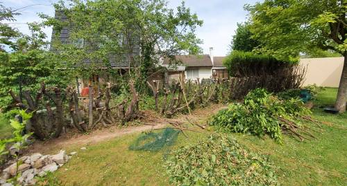 Suppression de haie pour installer une clôture - Moissy-Cramayel 77550