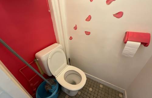 Toilette avant rénovation