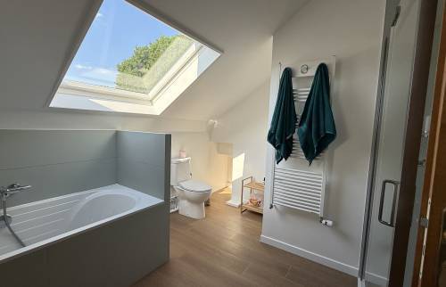 Rénovation de salle de bain à Massy (91)