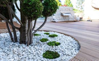 terrasse jardin