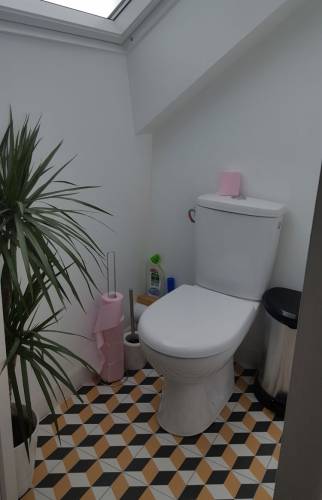 Sdb combles Thonon les bains