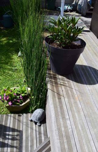 Aménagement des extérieurs d'une maison dans  le 14 (Calvados)