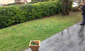 création terrasse en bois : avant les travaux