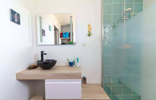 Aménagement meuble vasque suspendu près de la paroi vitrée de la douche - Cassis (13260)