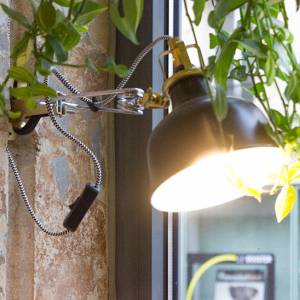 Tchinpapa - rénovation de commerce - Studio Furn - Architecture d'intérieure - La Maison Des Architectes