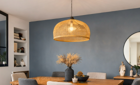 Rénovation de salon à Saint-Avertin (37550)