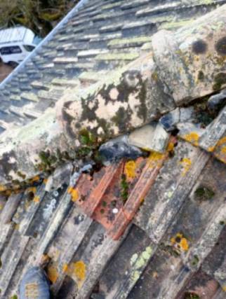 Rénovation complète d'une toiture : vue des anciennes tuiles gélives