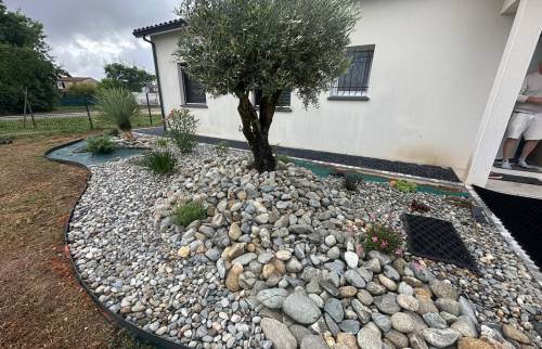 Jardin zen : massif de galets et olivier – Bressols (82)
