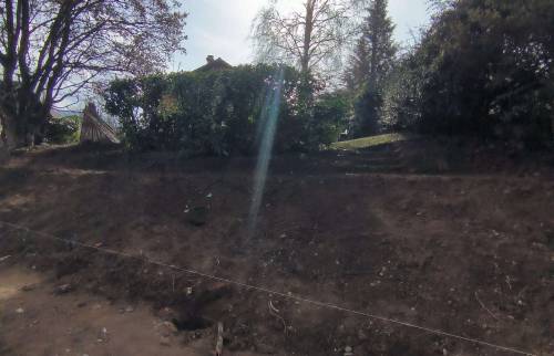 Jardin sans les arbustes