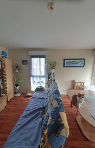 Pièce de vie avant prise 4