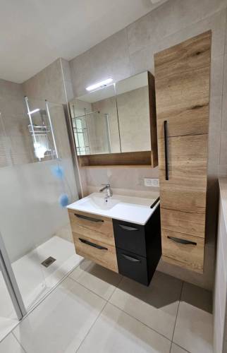 salle de bain accessible à Meyzieu (69330)