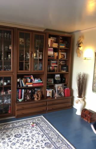  Rénovation d’un salon unique à Sainte-Savine avant