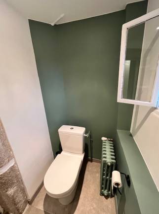 Rénover WC Lyon