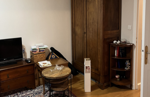 Réinventer le Confort : Rénovation de Salon à Saint-Maur-des-Fossés