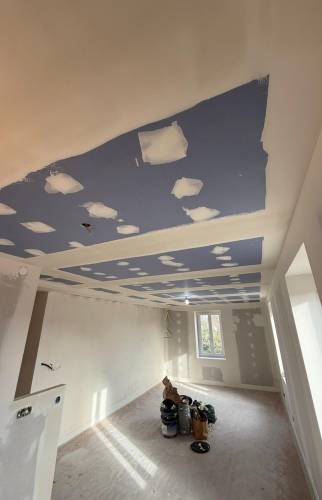 Salon avec plafond isolé à Francheville 69340