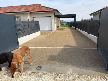 rénovation allée de jardin