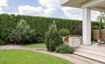 Allée de jardin 