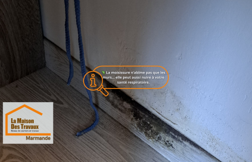 Moisissures au bas du mur : un vrai risque pour la santé respiratoire. Grâce à Sandrine Férin, ce logement a retrouvé un air sain et une vraie sérénité.