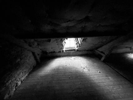 Partie non aménagée du grenier avant travaux (Gonneville-sur-Mer 14510)