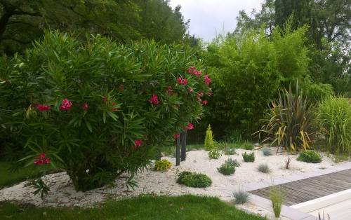 Aménagement de jardin autour de la piscine - Sainte-Maxime 83
