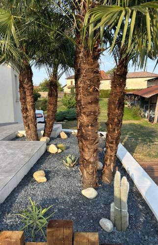 Création de terrasse en béton à Vienne