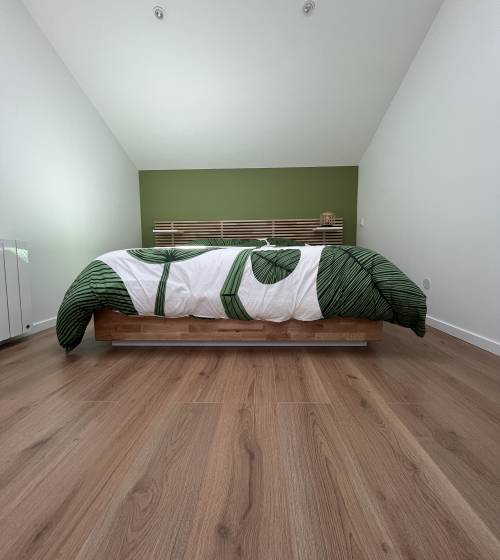 Création suite parentale sous les combles dans un garage (69290 Saint-Genis-les-Ollières)