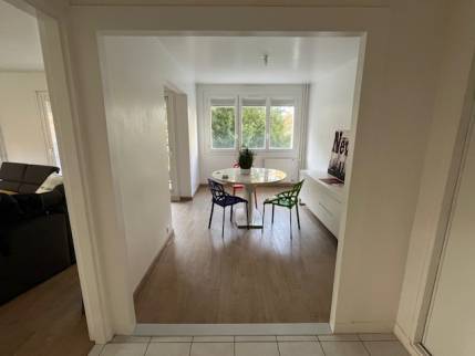 Séjour dans un appartement rénové avant pose de la verrière séparative - Nantes 44