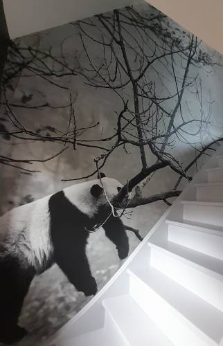 Décoration d'intérieur Violaines