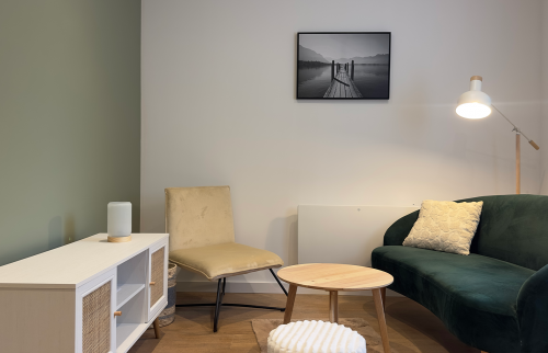 Rénovation salon - appartement à Lons-le-Saunier