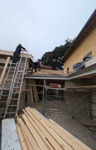 reprise de la toiture de l'appentis