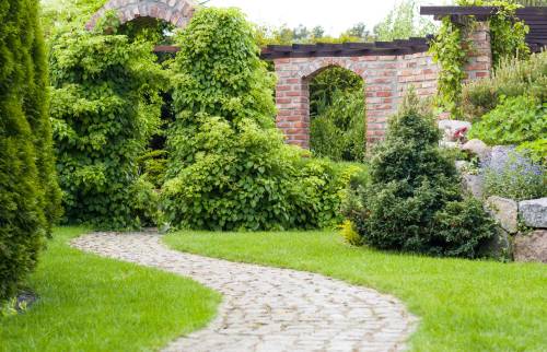 Allée de jardin 