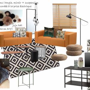 Salon colocation orléanaise - Alexandra Boiret Fleury - Décoratrice - La Maison Des Architectes