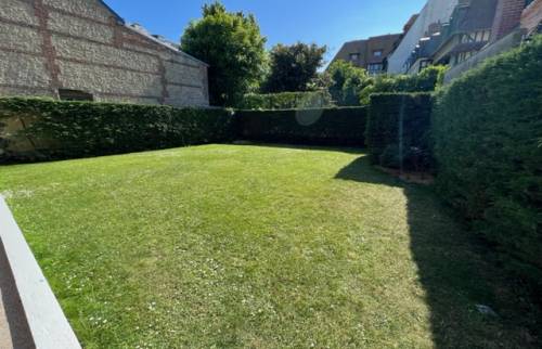Le jardin rénové