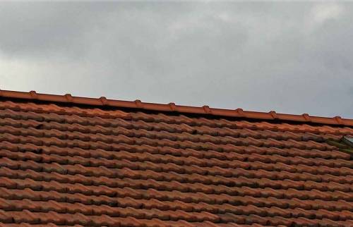 Rénovation Toiture Lyon 5