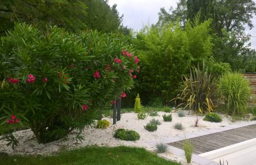 Création de jardin sur pierre de rivière
