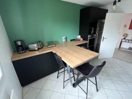 Nouvelle cuisine rénovée avec nouvelle implantation - Nantes 44