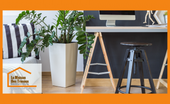 Coin lecture moderne à Héricourt avec bureau et plantes vertes – La Maison Des Travaux de Vesoul.