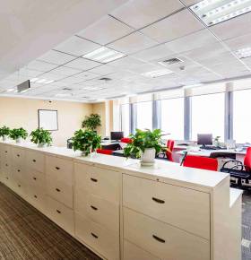 Des bureaux modernes et fonctionnels à Strasbourg