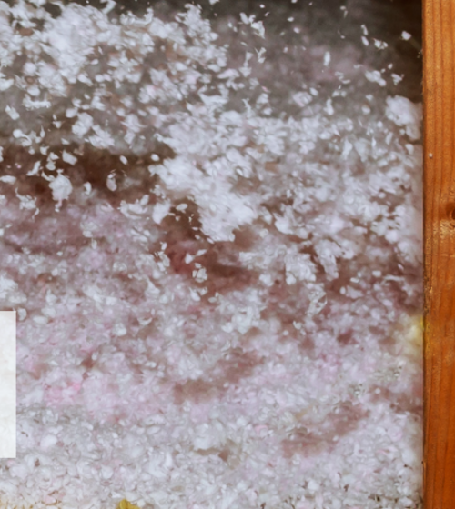 Vue rapprochée de la laine de roche soufflée dans des combles perdus, utilisée lors d’une isolation thermique près d’Agen par La Maison Des Travaux.