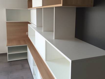 Réalisation d'une bibliothèque sur mesure dans une maison à l'ouest de Lyon